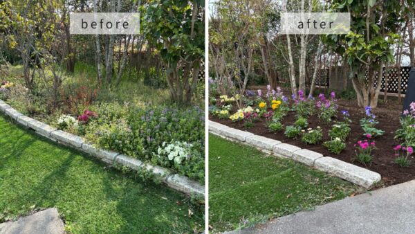 除草,花植え,消毒の作業事例写真beforeafter