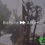 剪定の作業事例　アイキャッチ