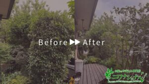 伐採・剪定・刈込の作業事例アイキャッチ