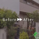 剪定の作業事例 アイキャッチ