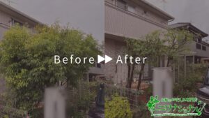 剪定の作業事例　アイキャッチ