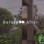 剪定の作業事例アイキャッチ