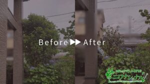 剪定の作業事例アイキャッチ