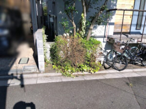 剪定・消毒・除草・土回収・防草シート・砂利敷き