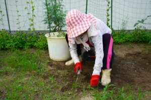 草刈りをする女性