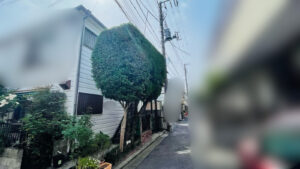 作業後写真