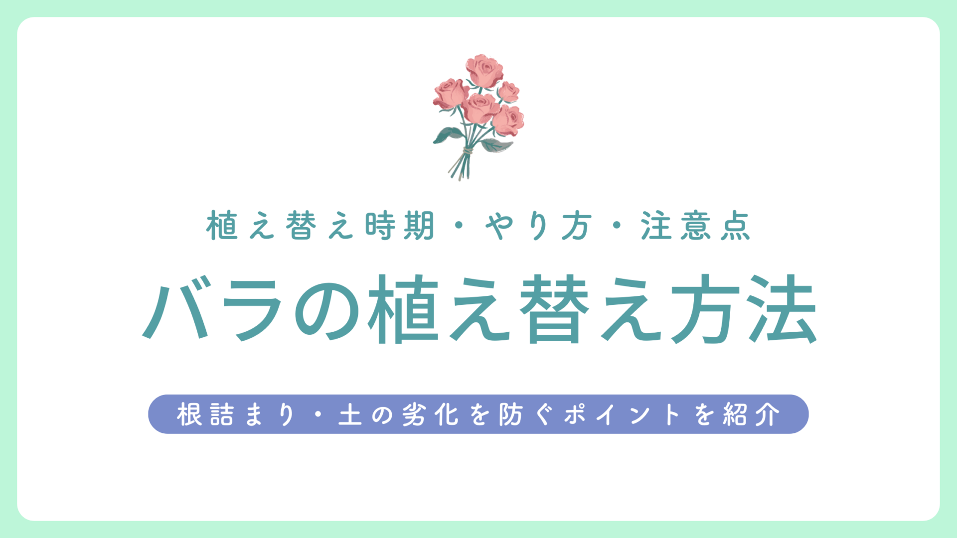 バラ の 植え 替え 時期