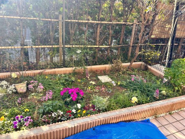 花植え、植樹、バラの誘引の作業事例写真