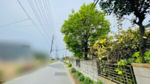 作業前写真