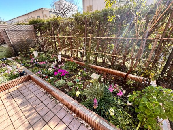 花植え、植樹、バラの誘引の作業事例写真