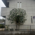 剪定の作業写真