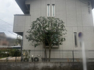 剪定の作業写真