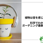 アイキャッチ_植物は音を聞く?