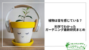 アイキャッチ_植物は音を聞く？