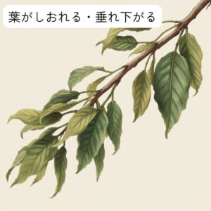 葉がしおれた木のイラスト