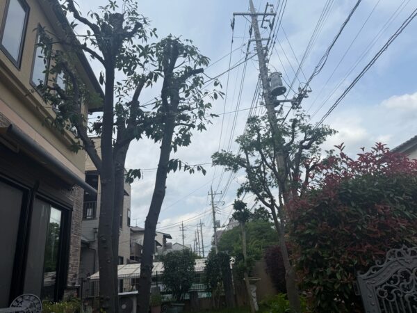 剪定の作業写真