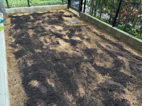芝生の張り替えの作業写真 バーク堆肥とバーミキュライトを撒いた後