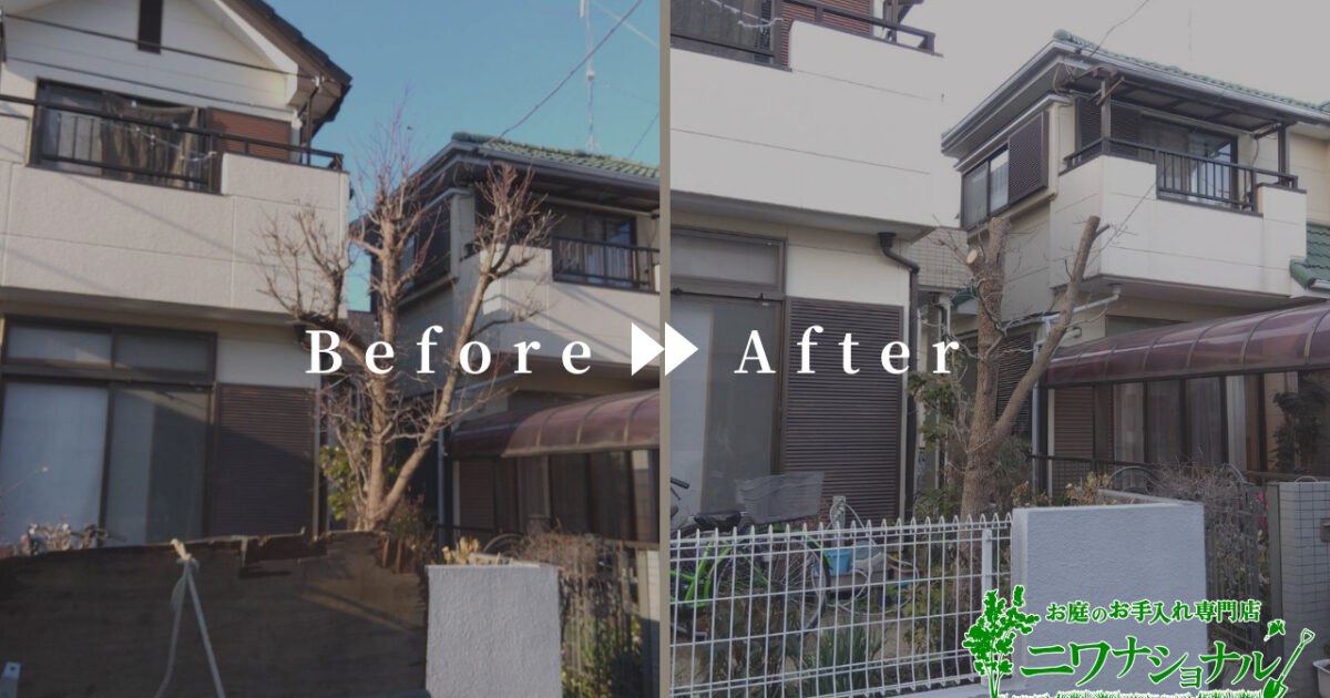 剪定・伐採の作業事例　アイキャッチ