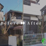 剪定・伐採の作業事例 アイキャッチ
