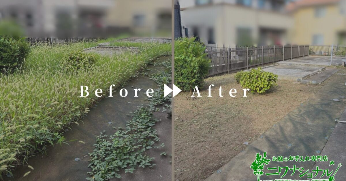 伐採・草刈り・消毒の作業事例アイキャッチ