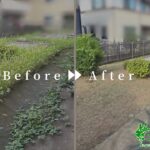 伐採・草刈り・消毒の作業事例アイキャッチ