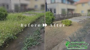 伐採・草刈り・消毒の作業事例アイキャッチ