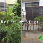 草刈り作業写真アイキャッチ
