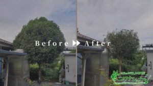 剪定刈込の作業事例アイキャッチ