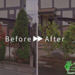 抜根、植樹、支柱の作業写真　beforeAfter