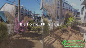 抜根、移植、支柱立て、剪定、防草シート張りの作業事例　アイキャッチ