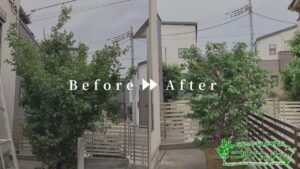 剪定・消毒の作業事例　アイキャッチ