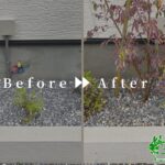 植樹・支柱立ての作業事例アイキャッチ
