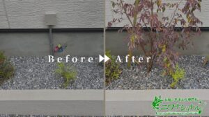 植樹・支柱立ての作業事例アイキャッチ