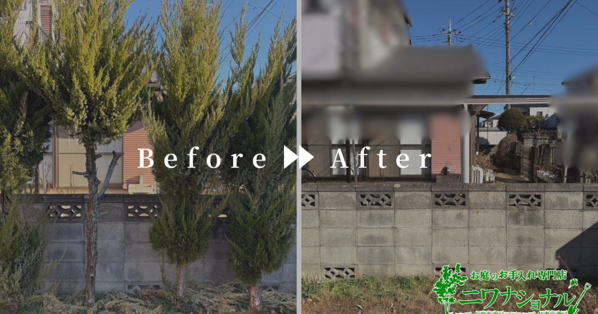 伐根・伐採作業事例　アイキャッチ