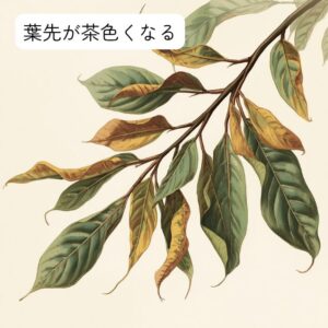 葉先が茶色くなった木のイラスト