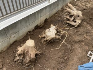 切り株抜根、既存砂利回収撤去