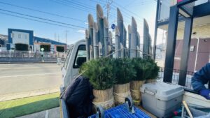 門松 仕入れ画像