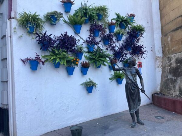 コルドバ_植物と銅像