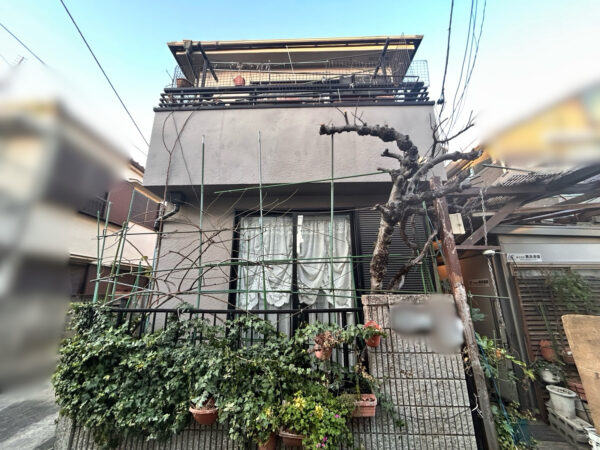 バラの剪定・誘引、りんご・ブドウの木の剪定の作業写真