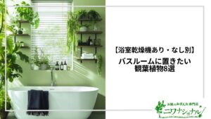アイキャッチ_バスルームにおすすめの観葉植物