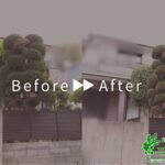 剪定刈込の作業事例アイキャッチ