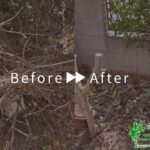 切り置き枝回収の作業事例アイキャッチ