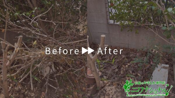 切り置き枝回収の作業事例アイキャッチ
