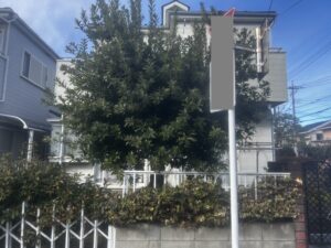 土中伐採、枯れ処置の作業写真