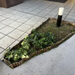 花壇の植え替え、囲い設置の作業写真