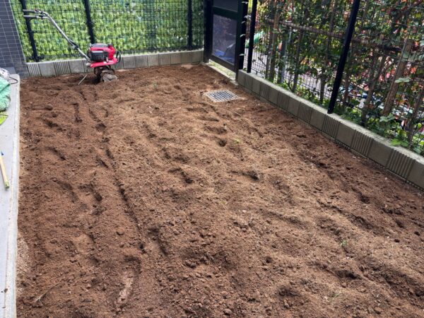 芝生の張り替えの作業写真 耕運中