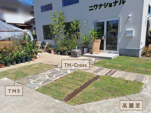 店舗の周りに張った芝生