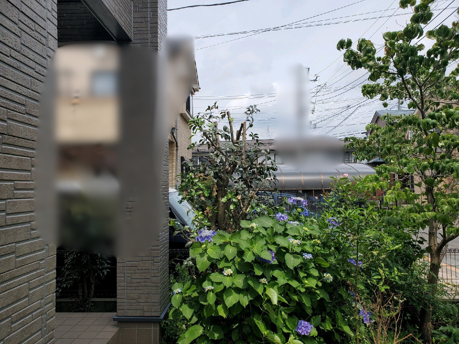 剪定の作業写真