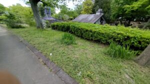 草刈り・芝刈り作業写真