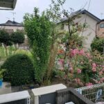 空き家のお手入れ作業写真